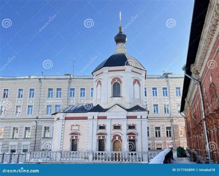 Exploring the Life and Career of Aleksandr Petrovsky